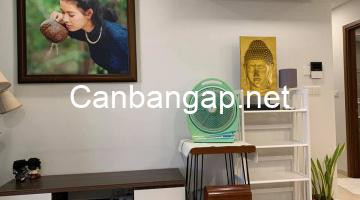 Ban công thoáng mát của căn hộ Pegasuite Quận 8