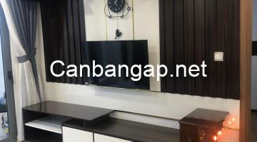 Tổng quan dự án chung cư The Pegasuite Quận 8