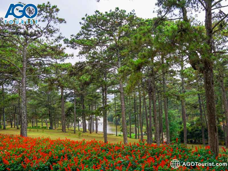 Khu vườn hoa đa sắc màu tạo nên phông nền lý tưởng cho những bức ảnh check-in