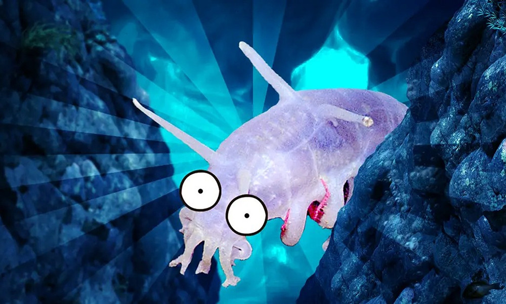 Khung cảnh mô phỏng áp lực và môi trường tối tăm dưới Rãnh Mariana