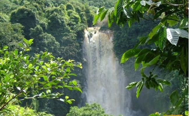 Di Linh Cách Đà Lạt Bao Nhiêu Km? Khám Phá Tiềm Năng Vùng Đất Cao Nguyên