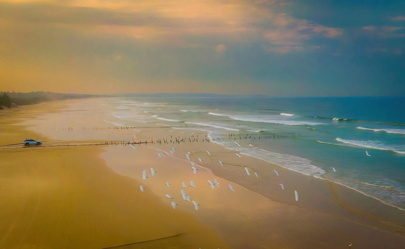 Bãi biển Châu Tân Quảng Ngãi hoang sơ với bờ cát trắng mịn và hàng dừa xanh mướt