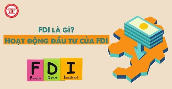 Các hoạt động đầu tư trực tiếp nước ngoài (FDI) trong phát triển kinh tế và thị trường bất động sản
