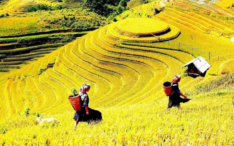 Cảnh quan thiên nhiên hùng vĩ của Yên Bái, nơi có núi non trùng điệp và thung lũng xanh mướt, thể hiện rõ vẻ đẹp độc đáo của vùng Tây Bắc Việt Nam.