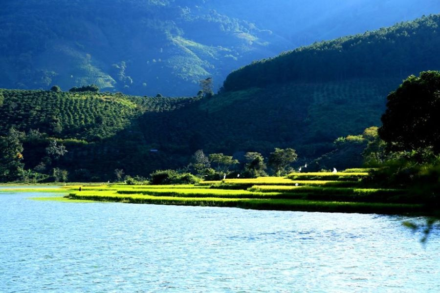 Di Linh Cách Đà Lạt Bao Nhiêu Km? Khám Phá Tiềm Năng Vùng Đất Cao Nguyên