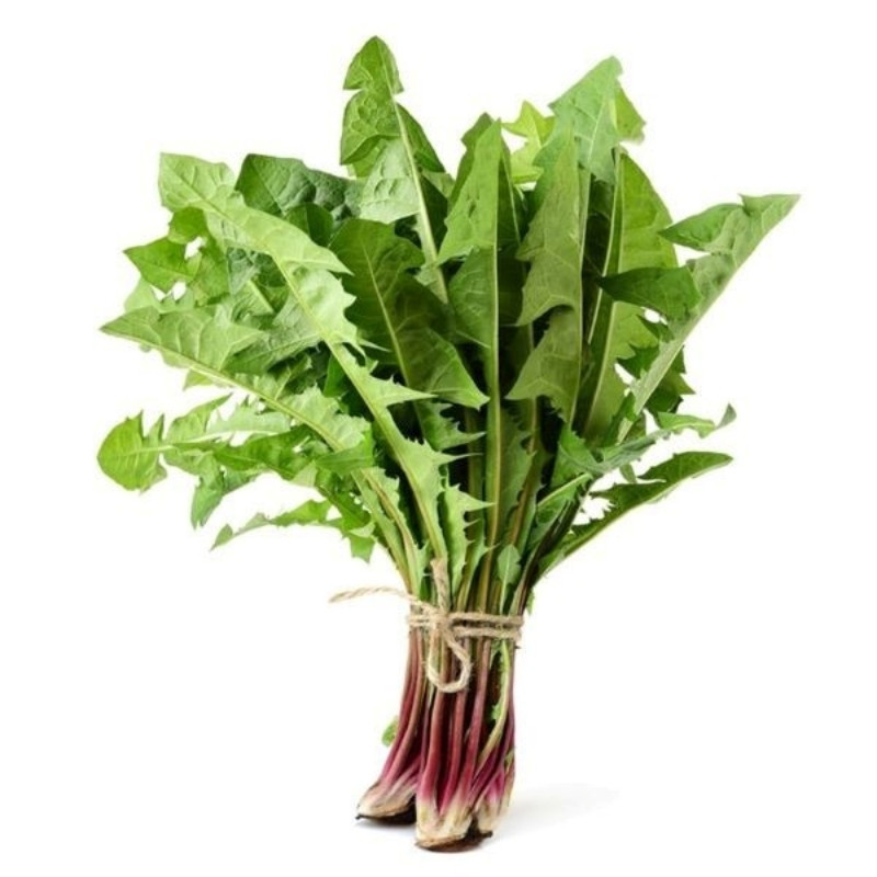 cây bồ công anh tươi tốt