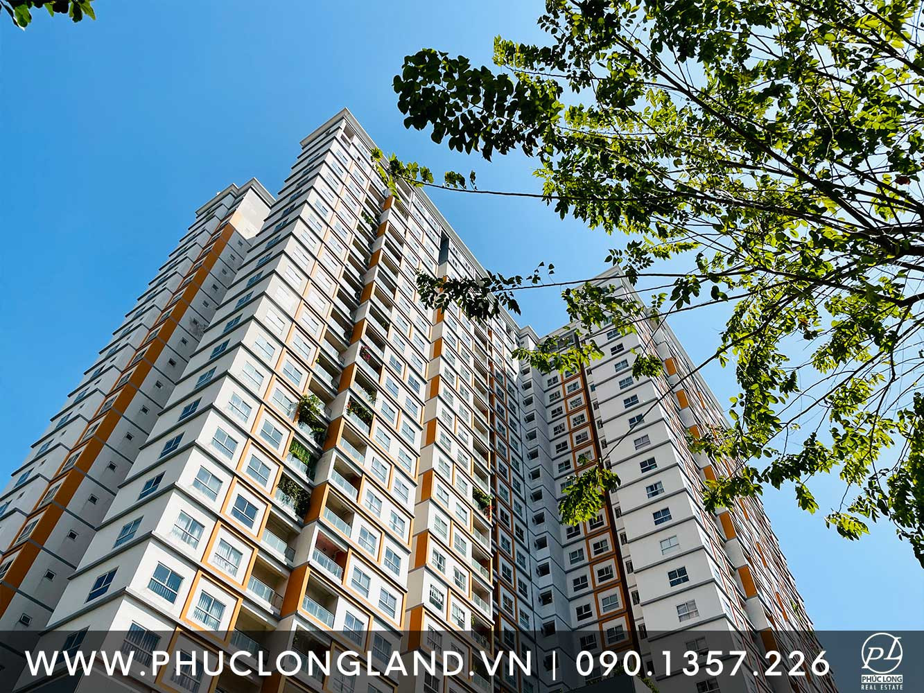 Khám Phá Tiềm Năng An Cư và Đầu Tư tại Chung Cư Dragon Hill 2