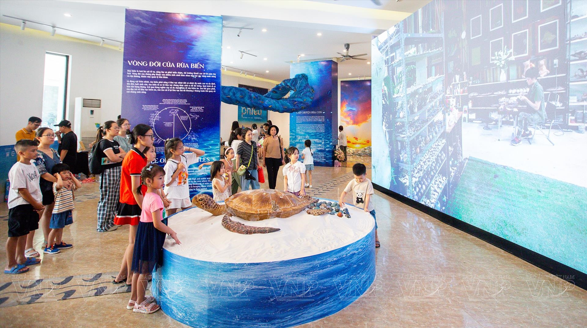 Dự án nghệ thuật sắp đặt "Phiêu" với hàng trăm rùa biển gốm tạo hình ấn tượng