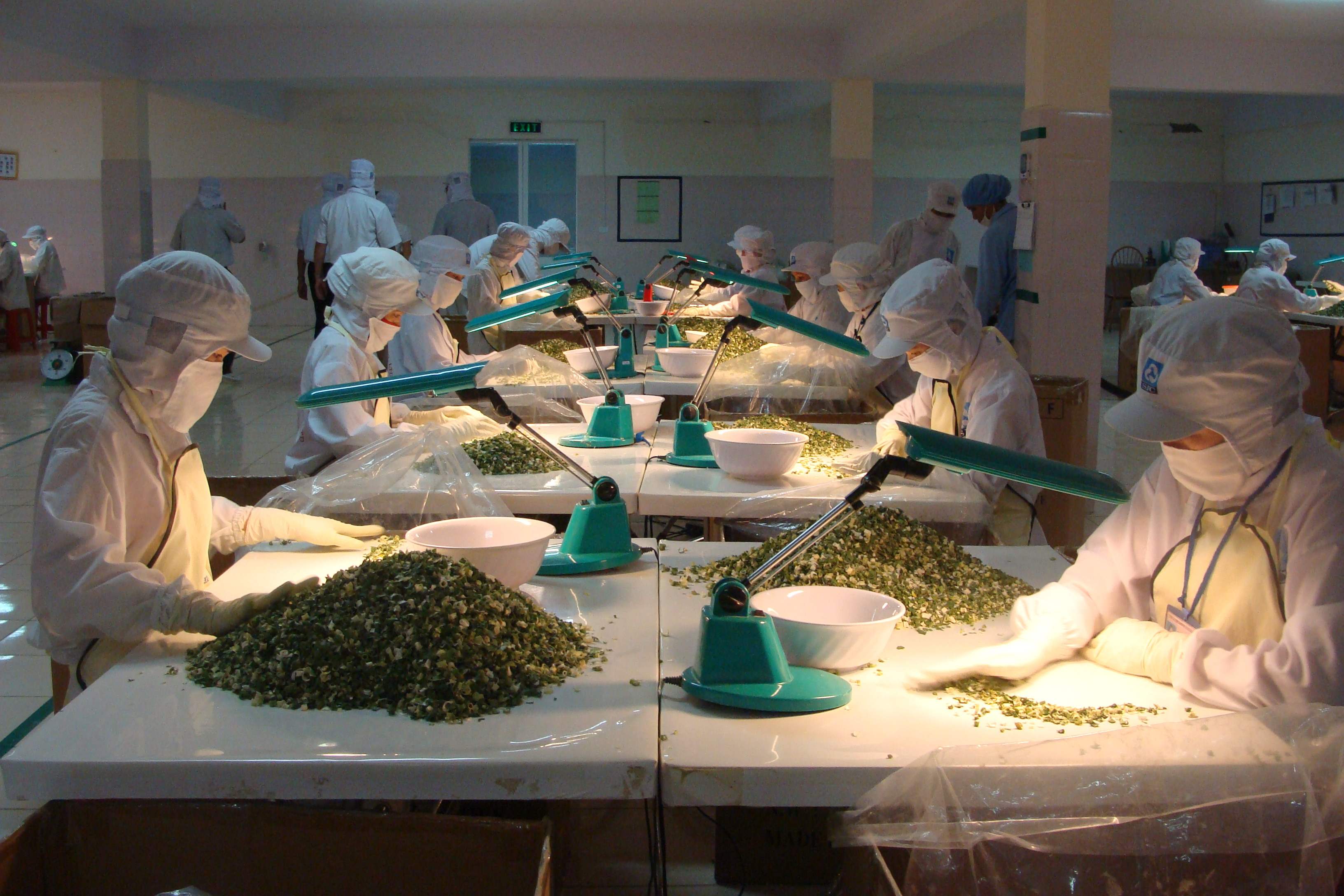 Nhà máy chế biến nông sản hiện đại trong khu công nghiệp Nghĩa Hưng, Bắc Giang