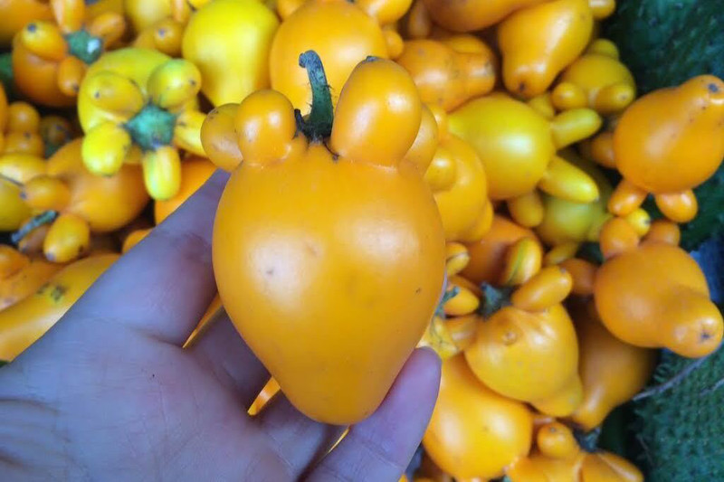 Những quả dư màu vàng có hình dáng đặc biệt, tượng trưng cho sự thịnh vượng.