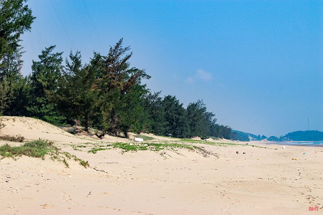 Rừng phòng hộ ven biển chống chịu gió bão, bảo vệ cộng đồng dân cư và hạ tầng.