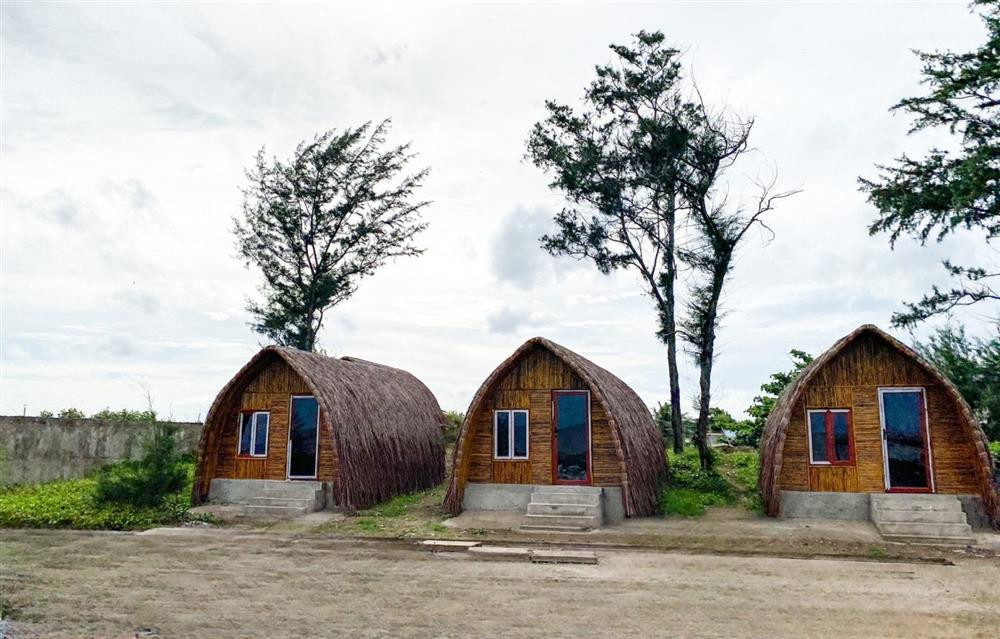Toàn cảnh khu du lịch Biển Ba Động Trà Vinh với rừng phi lao xanh mát và bãi biển.