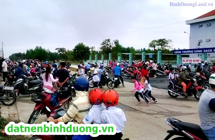 Trường tiểu học Thới Hòa phục vụ cư dân Khu đô thị Mỹ Phước 3