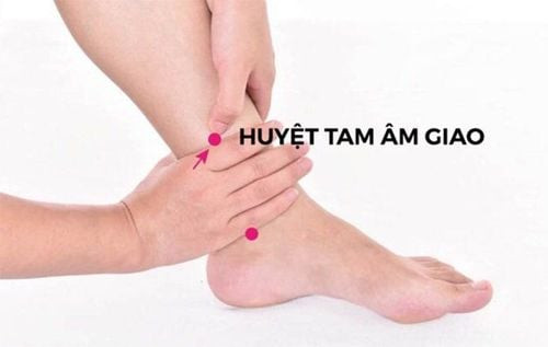 Vị trí huyệt Tam Âm Giao ở đâu trên cẳng chân người