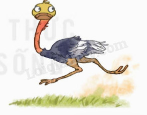 Chuyển Đổi Vận Tốc: 15 m/s Bằng Bao Nhiêu km trên Giờ? Chuyển Đổi Vận Tốc: 15 m/s Bằng Bao Nhiêu km trên Giờ?