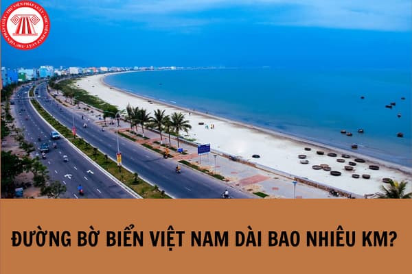 Ảnh toàn cảnh đường bờ biển Việt Nam nhìn từ trên cao, thể hiện sự hùng vĩ và dài bất tận của bờ biển