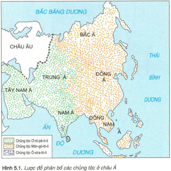 Bản đồ phân bố các chủng tộc chính của dân cư châu Á, thể hiện sự đa dạng tại các khu vực Đông Á, Nam Á, Trung Á và Đông Nam Á.