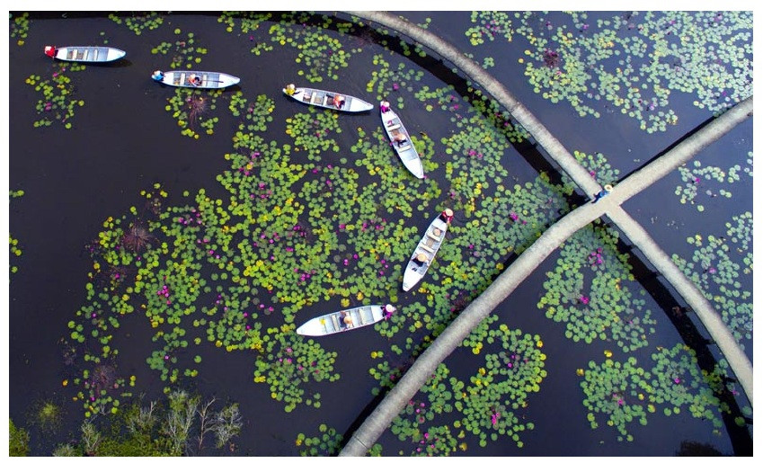 Bản đồ tổng quan tỉnh Long An với các địa danh và tuyến đường chính