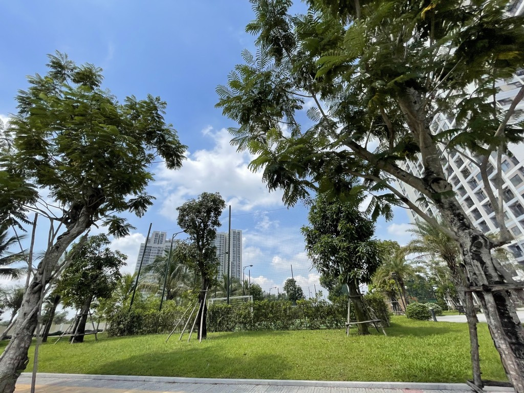 Hình ảnh tổng quan một khu chung cư Quận 9 hiện đại