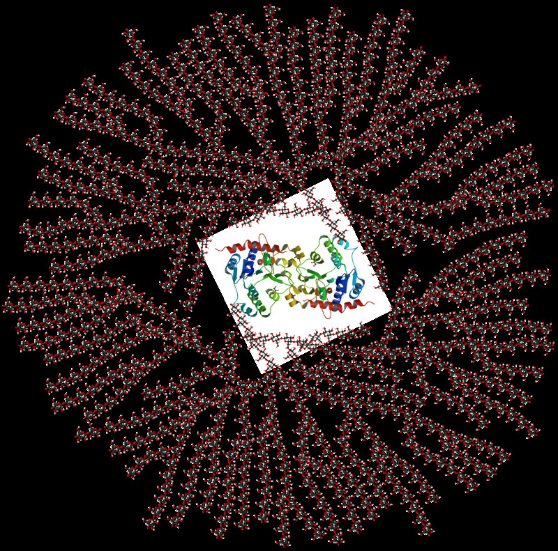 Sơ đồ biểu diễn cấu trúc phân tử Glycogen