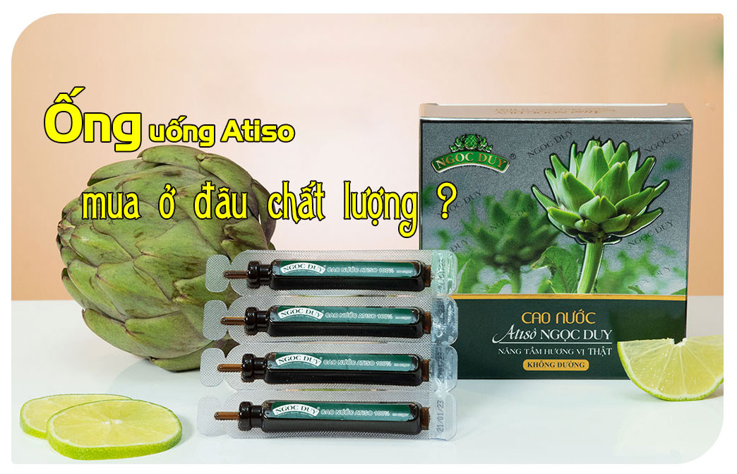 Trà atiso dạng ống tiện lợi, biểu tượng của sản phẩm atiso chất lượng cao