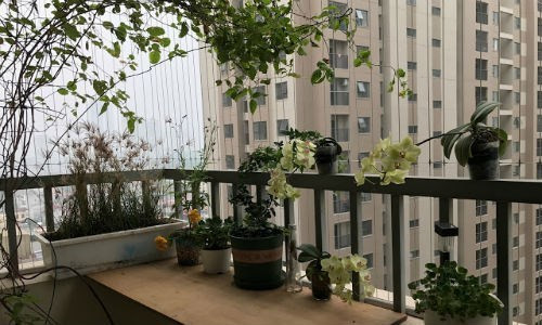 Xem hướng nhà chung cư: Ban công hay cửa chính ảnh hưởng phong thủy?