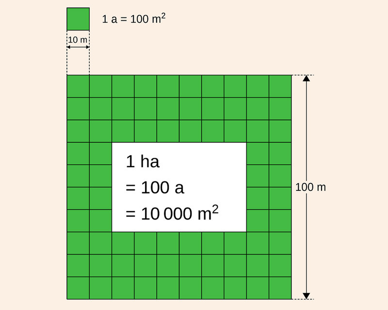 1 ha là bao nhiêu m2