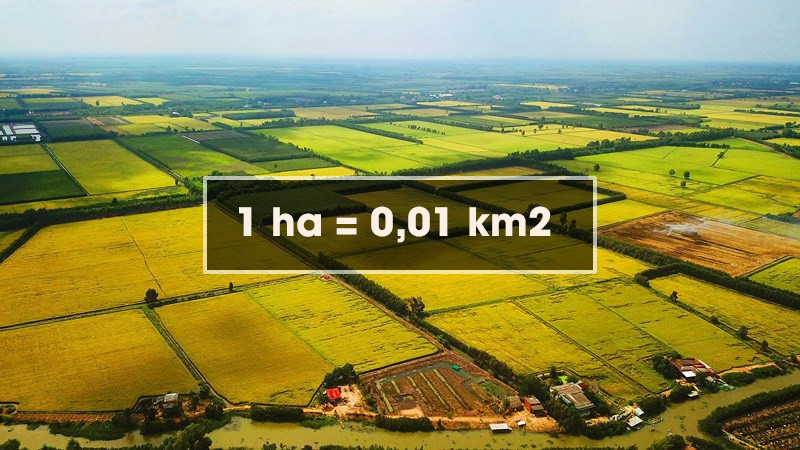Giải Đáp Chính Xác: 1 Hecta Bằng Bao Nhiêu Km Vuông Trong Quy Hoạch Đất Đai 1ha bằng 0,01km2