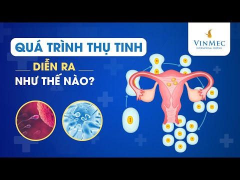 Ảnh của quá trình thụ tinh