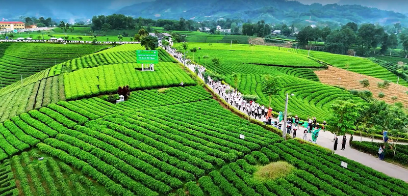 Biển số xe 20 là tỉnh nào - Bản đồ hành chính Thái Nguyên