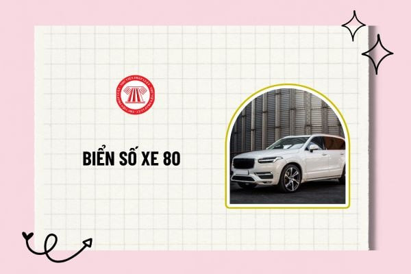Biển số xe đặc biệt với ký hiệu 80 dành cho các cơ quan nhà nước