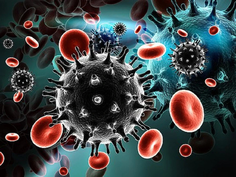 Biểu đồ mô tả các giai đoạn phát triển của virus HIV trong cơ thể người, giúp hiểu rõ tầm quan trọng của việc xét nghiệm HIV sớm.