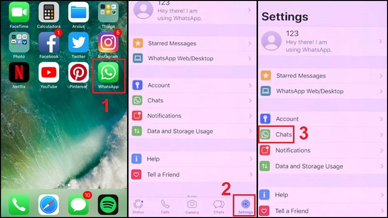 Cài đặt WhatsApp hiển thị mục Trò chuyện và sao lưu tin nhắn.