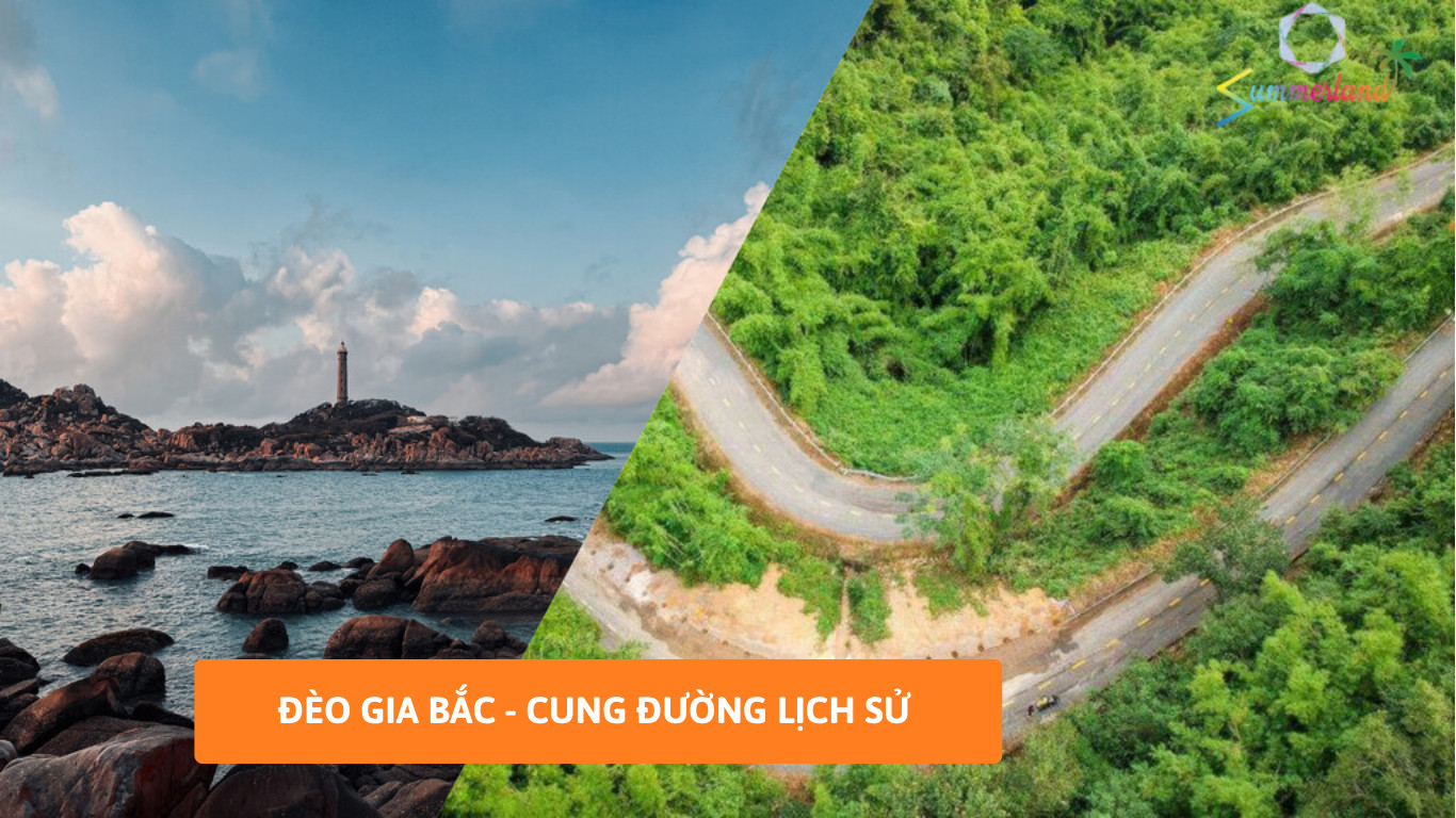 Cảnh quan đèo Gia Bắc với núi non và đồi cà phê xanh mướt, thể hiện chiều dài đèo Gia Bắc