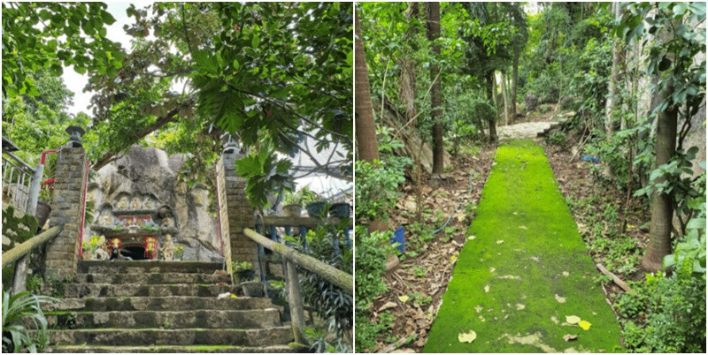 Con đường dẫn lên núi Thị Vải