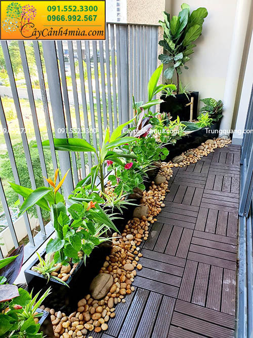 Dịch vụ thiết kế và trồng cây ban công chung cư trọn gói