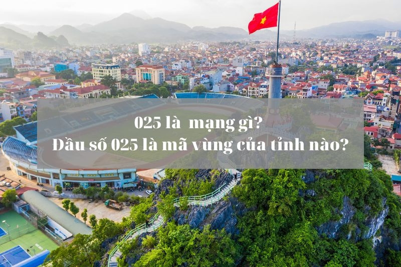 Điện thoại bàn và logo VNPT liên quan đến đầu số 025