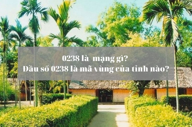 Điện thoại cố định và di động cùng với mã vùng 0238 của VNPT