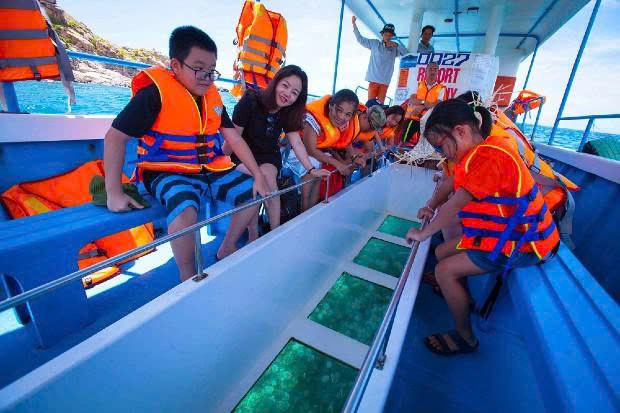 Du khách trải nghiệm ngắm san hô bằng tàu đáy kính tại Vịnh Vĩnh Hy trong chuyến tour Bình Hưng ở đâu tuyệt vời.