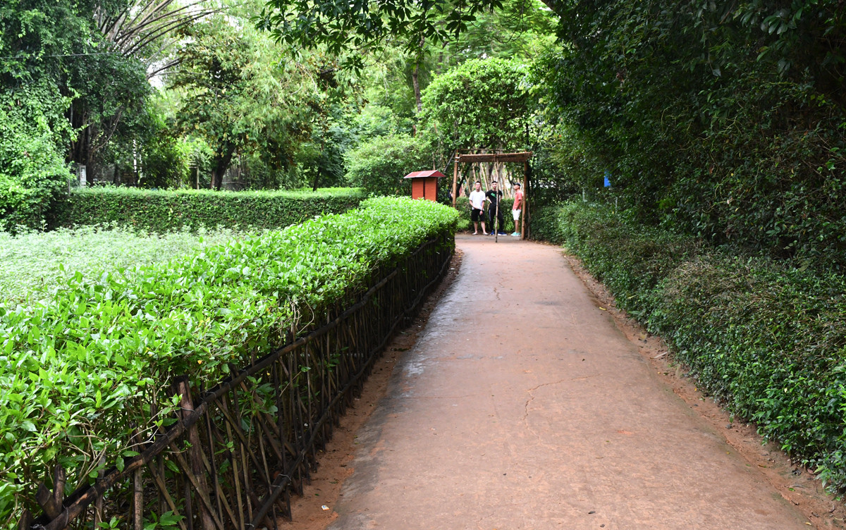 Đường làng Làng Sen bình yên