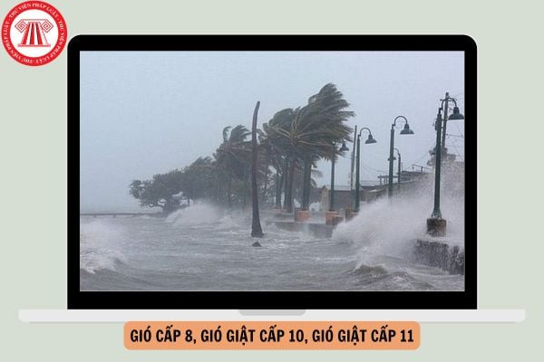 Gió cấp 8, gió giật cấp 10, gió giật cấp 11 là bao nhiêu km/h?
