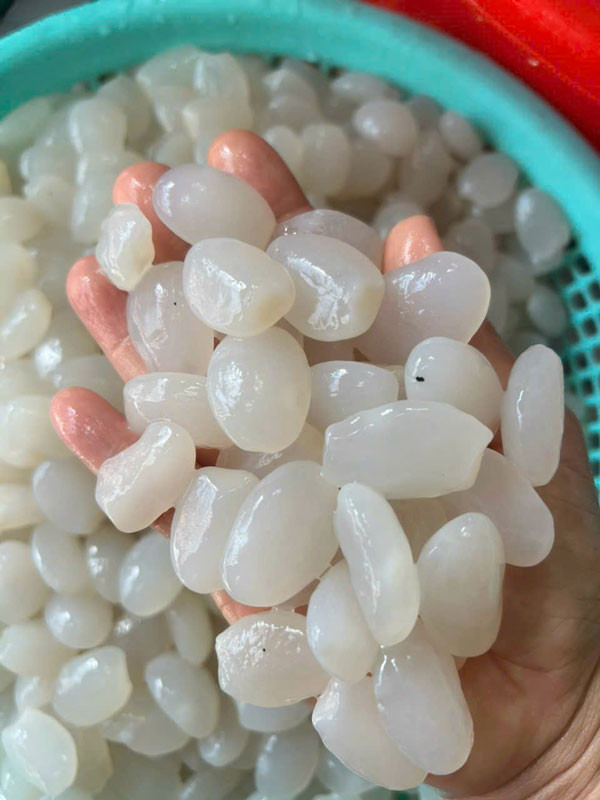 Hạt đác tươi vừa khai thác, sẵn sàng cho khách hàng mua ở TP.HCM