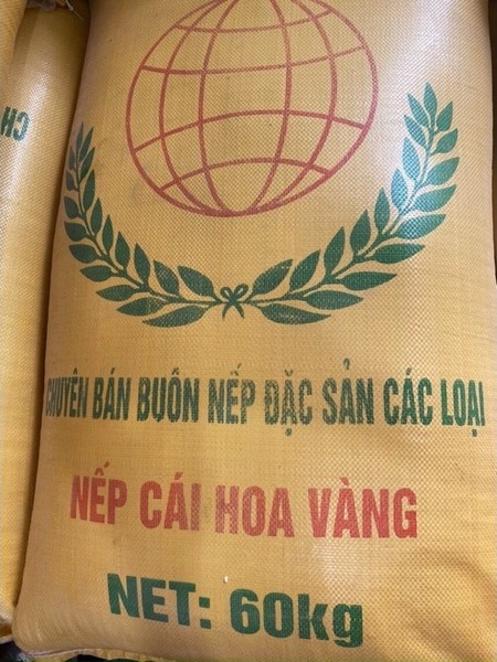 Hình ảnh cận cảnh những bông lúa nếp cái hoa vàng đang trổ đòng, đặc trưng miền Bắc