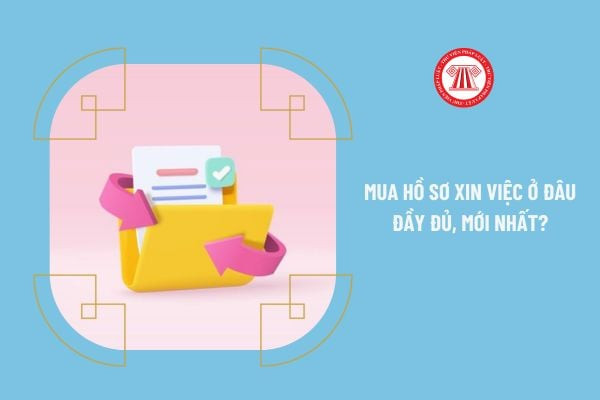 Hồ sơ xin việc cơ bản