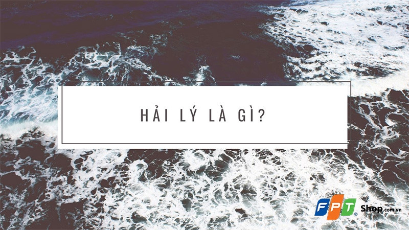 La bàn hàng hải hiển thị các hướng và đơn vị hải lý, minh họa tầm quan trọng của hải lý trong định vị trên biển.