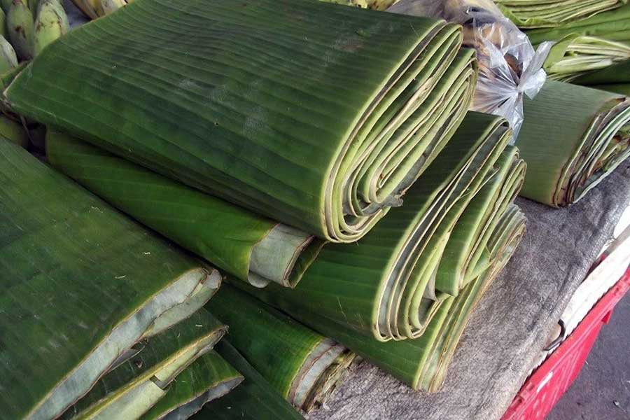 Lá chuối tươi cao cấp, hình ảnh minh họa về loại lá dùng trong ẩm thực và đời sống.