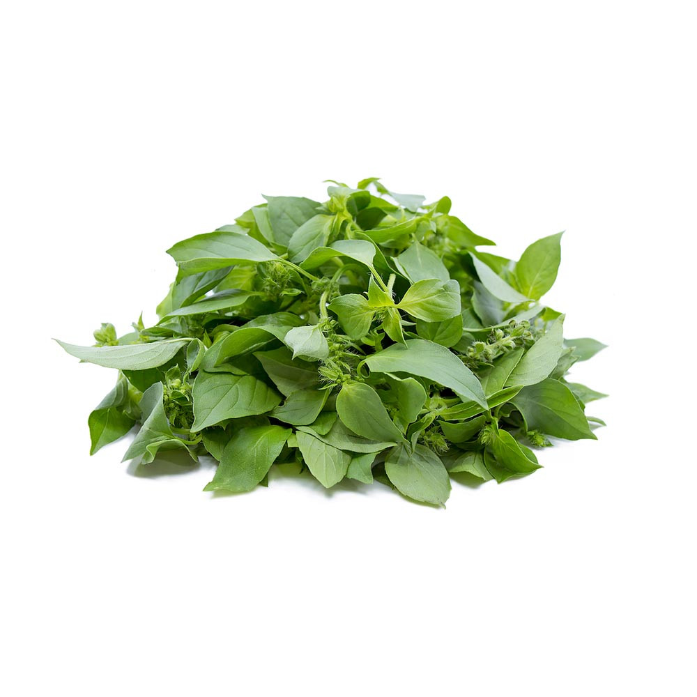 lá é tươi xanh, nguyên liệu đặc trưng cho ẩm thực miền Trung