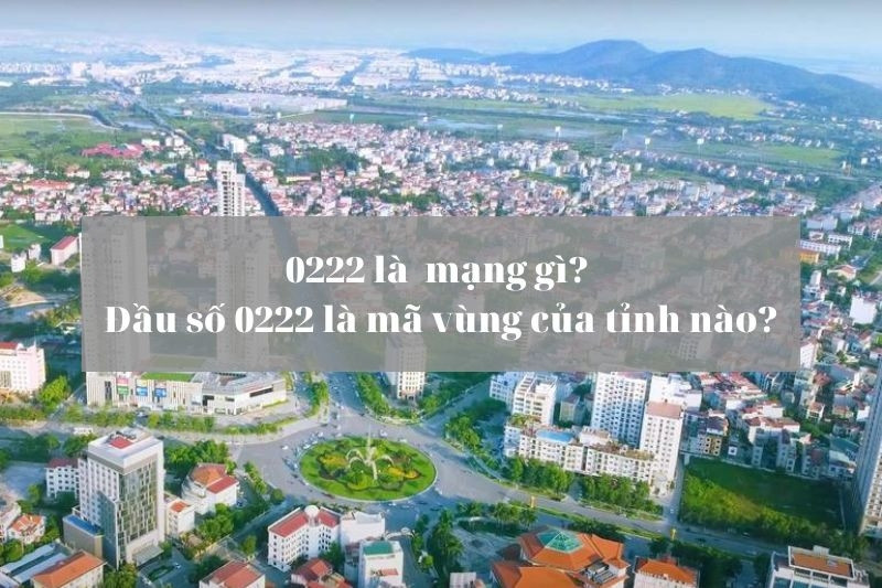 Mã vùng điện thoại 0222