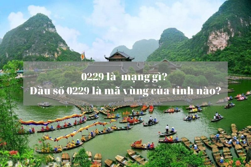 Mã vùng điện thoại 0229 của tỉnh Ninh Bình do VNPT cung cấp