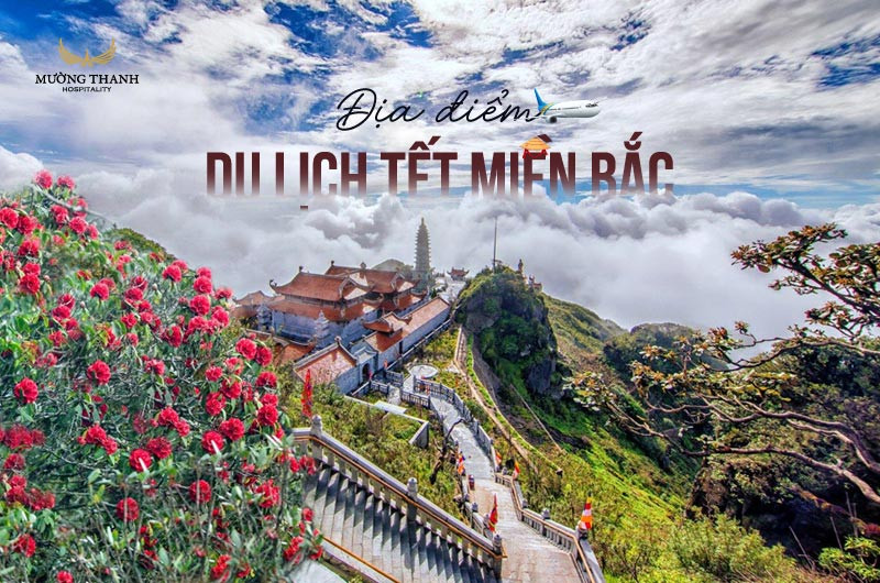 Mùa xuân trên những thửa ruộng bậc thang miền Bắc Việt Nam